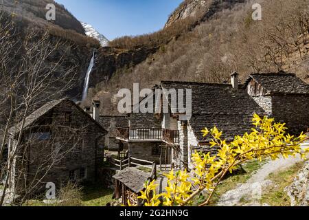 Foroglio ist ein gut erhaltenes Steindorf im oberen Baona-Tal im Maggia-Tal. Die schönen Steinhäuser werden vom 110 m hohen Wasserfall, der Cascata di Foroglio, dominiert. Stockfoto