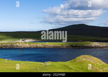 Küste am Noss Sound zwischen den Inseln Bressay und Noss, Blick auf die Insel Noss, Schottland, Shetland Islands Stockfoto