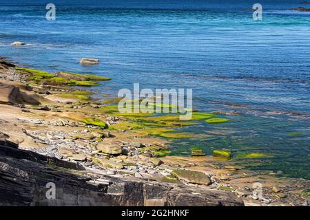 Felsiger Strandabschnitt in Noss Sound, Isle of Bressay, Schottland, Shetland Islands Stockfoto