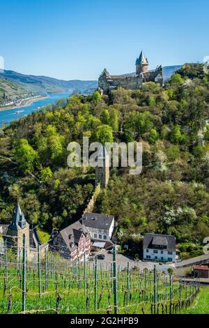 Bacharach, Schloss, Schlossweg, Jugendherberge, Kirche, Marktturm, Mittelrhein, Münze, Oberes Mittelrheintal, Postturm, Rhein, Schifffahrt, Sommer, St. Peter, Stadttürme, Stahleck, Steeg, Steegertal, Welterbe, Weltkulturerbe, Werner-Kapelle Stockfoto