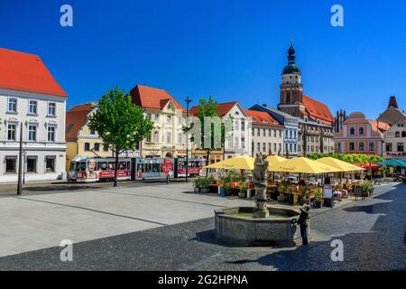 Der Cottbus Altmarkt bildet aufgrund seiner Kohäsion und relativen Einheitlichkeit ein beeindruckendes Ensemble Stockfoto