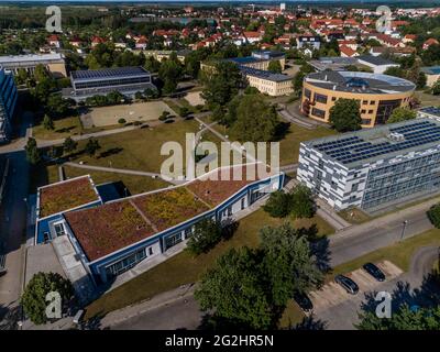 Senftenberg: BTU Cottbus-Senftenberg Stockfoto