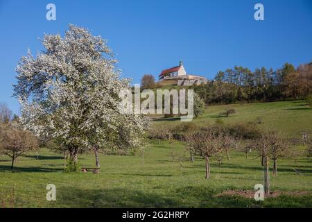 Wurmlinger Kapelle bei Tübingen, Frühling Stockfoto