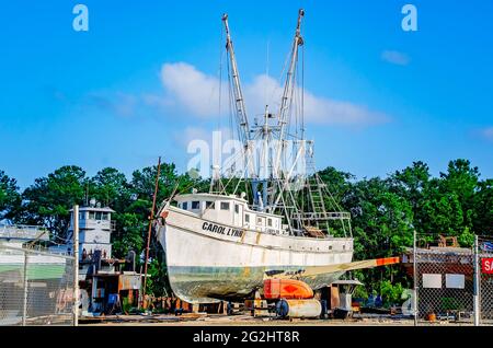 Am 9. Juni 2021, in Bayou La Batre, Alabama, befindet sich ein altes Garnelenboot aus Holz im Trockendock zur Reparatur auf einer lokalen Werft. Stockfoto