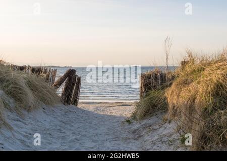 Vielversprechender Blick auf die Ostsee am Strand in Stein an der Kieler Förde, Norddeutschland, Schleswig-Holstein, Meer. Stockfoto