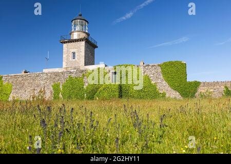 Leuchtturm am Cap de Carteret, in der Nähe von Barneville-Carteret, Frankreich, Normandie, Department Manche Stockfoto