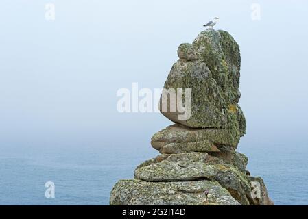 Flechten-bedeckte Felsen bei Pointe de Pern, Île d´Ouessant, Frankreich, Bretagne, Departement Finistère Stockfoto