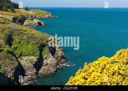 Küstenabschnitt bei Kerzo, Belle-Ile-en-Mer, Frankreich, Bretagne, Département Morbihan Stockfoto