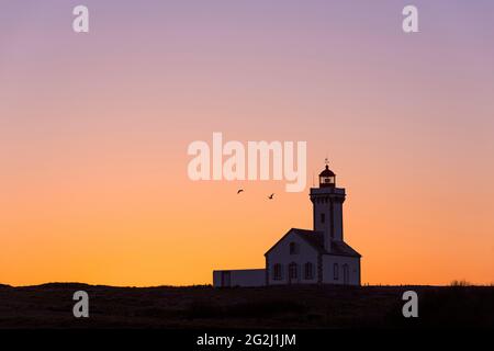 Leuchtturm Les Poulains im Abendlicht, Pointe des Poulains, Belle-Ile-en-Mer, Frankreich, Bretagne, Abteilung Morbihan Stockfoto