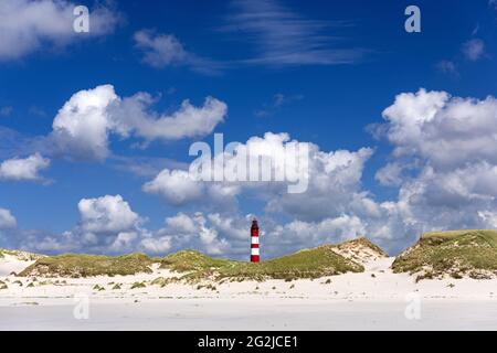 Naturschutzgebiet Amrum-Dünen und Leuchtturm, Insel Amrum, Nationalpark Schleswig-Holsteinisches Wattenmeer, Deutschland, Schleswig-Holstein Stockfoto