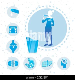 Wasserhaushalt in menschlichen Körperorganen Poster mit Frau Silhouette Trinkwasser profitieren Infografik voller Länge Stock Vektor