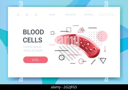 Blutkörperchen, die durch die rote Arterie der Vene fließen menschliches Kreislaufsystem Anatomie Medizin Konzept horizontale Kopie Raum flach Stock Vektor