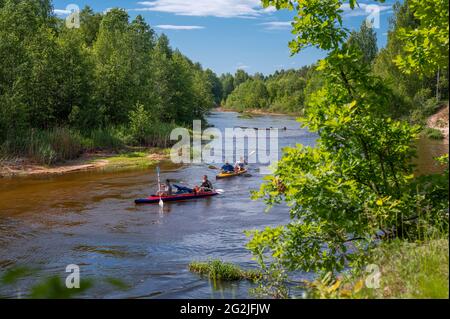 Kanufahren auf dem Forest River. Freunde fahren mit dem Kajak auf dem Waldfluss. Aktiver Zeitvertreib und Unterhaltung im Sommer. Mehrere Leute Team aufblasbare Kanu Stockfoto