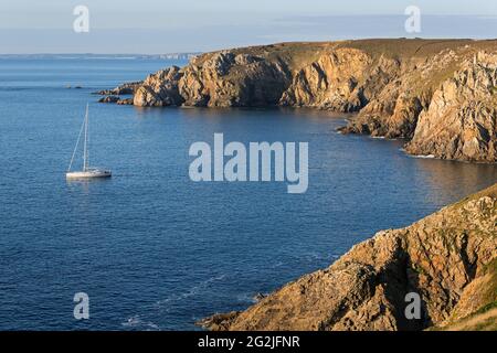 Felsküste an der Pointe de Brezellec im Abendlicht, bei Cleden-Cap-Sizun, Frankreich, Bretagne, Finistère, Cap Sizun Stockfoto