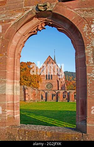 Klosterruine Hirsau, ehemaliges Benediktinerkloster, Bau der St. Peter und Paul-Anlage Ende des 11. Jahrhunderts, Calw, Kreis Hirsau, Baden-Württemberg, Deutschland Stockfoto