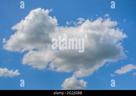 Weiße Wolke am blauen Himmel. Weiße Cumulus Wolken Formation in blauem Himmel, sonnigen Sommertag. Erstaunliche Wolkenformationen auf einem strahlend blauen Himmel. Schöne Seite l Stockfoto