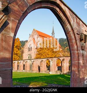 Klosterruine Hirsau, Kreuzgang, Marienkapelle, ehemaliges Benediktinerkloster, Calw, Kreis Hirsau, Baden-Württemberg, Deutschland Stockfoto