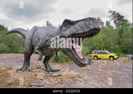 Dinosaurier Tyrannosaurus als Modell im Dinopark Münchehagen bei Hannover. Lebte vor etwa 66 Millionen Jahren in Nordamerika, war etwa 13m lang und wog 6t. Das Auto aus JURASSIC PARK. Das T-Rex-Modell: Wild Creations UK / Universal Pictions DE Stockfoto