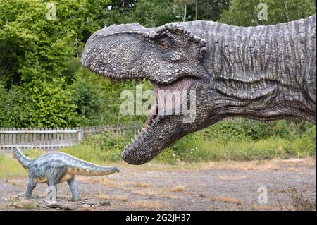 Dinosaurier Tyrannosaurus als Modell im Dinopark Münchehagen bei Hannover. Lebte vor etwa 66 Millionen Jahren in Nordamerika, war etwa 13m lang und wog 6t. Modell: Wild Creations UK / Universal Pictions DE Stockfoto