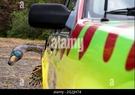 Dinosaurier Troodon (ähnlich dem Velociraptor) als Modell im Dinopark Münchehagen bei Hannover. Lebte in Nordamerika vor etwa 75 Millionen Jahren (Kreidezeit), war etwa 2.5 m lang und wog nur 50 kg. Das Auto aus JURASSIC PARK. Stockfoto