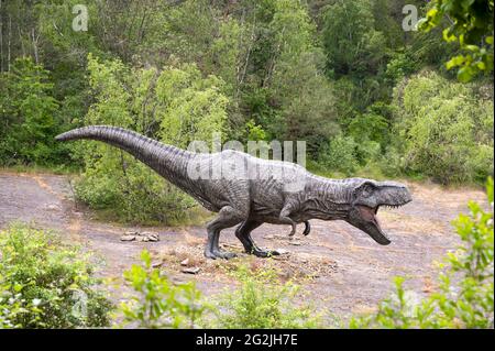 Dinosaurier Tyrannosaurus als Modell im Dinopark Münchehagen bei Hannover. Lebte vor etwa 66 Millionen Jahren in Nordamerika, war etwa 13m lang und wog 6t. Modell: Wild Creations UK / Universal Pictions DE [M] Störende andere Dinosaurier, Menschen und Gebäude wurden retuschiert. Stockfoto