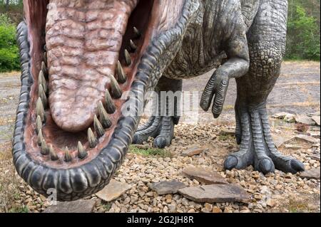 Dinosaurier Tyrannosaurus als Modell im Dinopark Münchehagen bei Hannover. Lebte vor etwa 66 Millionen Jahren in Nordamerika, war etwa 13m lang und wog 6t. Modell: Wild Creations UK / Universal Pictions DE Stockfoto