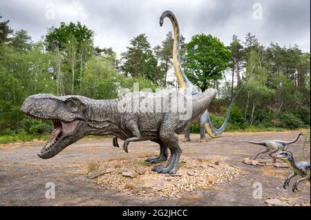 Tyrannosaurus und andere Dinosaurier als Vorbilder im Dinopark Münchehagen bei Hannover. Das T-Rex-Modell: Wild Creations UK / Universal Pictions DE Stockfoto