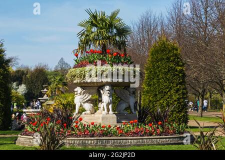 England, London, Regent's Park, Avenue Gärten, die Griffin Tazza (Lion Vase) und Frühlingsblumen Stockfoto