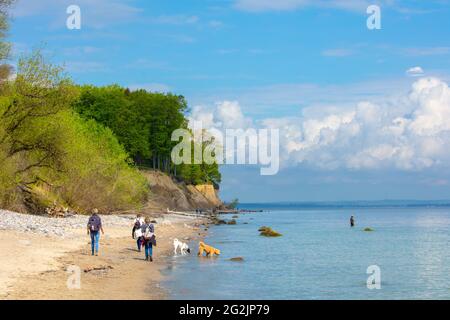 Schleswig-Holstein, Ostseeküste. Lübecker Bucht, Brodten Steilufe, Touristen am Strand Stockfoto