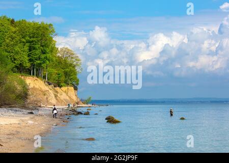 Schleswig-Holstein, Ostseeküste. Lübecker Bucht, Brodten Steilufe, Touristen am Strand Stockfoto