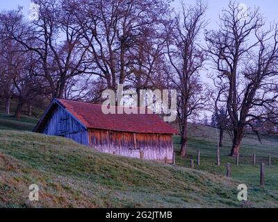 Wiese, Weide, Grünland, Zaun, Hang, Berg, Hügel, hügelige Landschaft, Kulturlandschaft, Baum, Gruppe von Bäumen Stockfoto