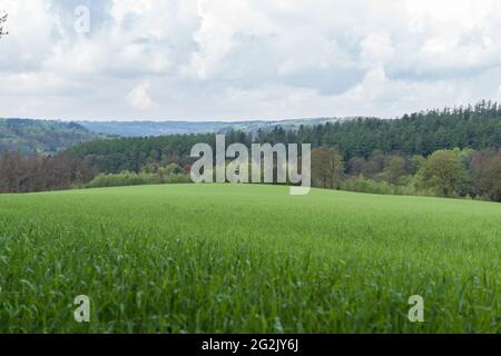 Landschaft im Bergschen Land, Remscheid, Wuppertal, Nordrhein-Westfalen. Stockfoto