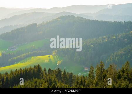 Deutschland, Panoramablick über schwarzwald Naturlandschaft mit Waldumrissungen von endlosen, baumbedeckten Bergen bei Sonnenuntergang in warmem Sonnenlicht Stockfoto