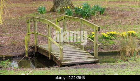 Eine rustikale Holzbrücke über einen kleinen Woodland Stream. Stockfoto