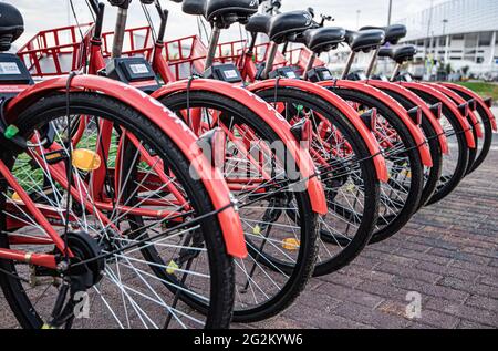 Reihe von roten Fahrrädern für das Teilen von Fahrrädern. Stockfoto