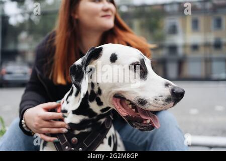 Glückliche Frau posiert und spielt mit ihrem dalmatinischen Hund während eines Stadtspaziergangs. Freundschaft, Liebe und Fürsorge Konzept Stockfoto