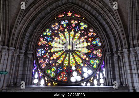 Ecuador Quito - Kirche Basilika des Nationalen Gelübdes - Glasmosaik-Fenster Stockfoto