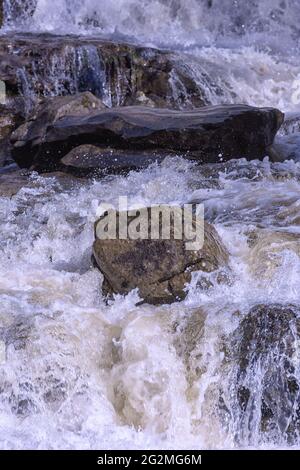 Unterer Teil der East Gill Force kurz vor ihrem Zusammenfluss mit dem River Swale in den Yorkshire Dales, England Stockfoto