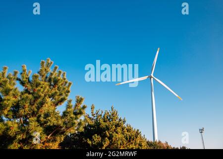 Yeongdeok Windpark in Yeongdeok, Korea Stockfoto