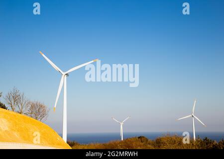 Yeongdeok Windpark und See in Yeongdeok, Korea Stockfoto