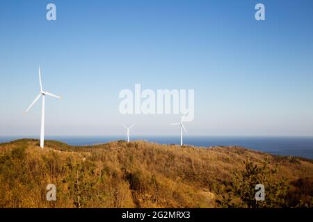 Yeongdeok Windpark und See in Yeongdeok, Korea Stockfoto