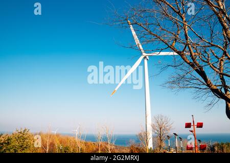 Yeongdeok Windpark und See in Yeongdeok, Korea Stockfoto