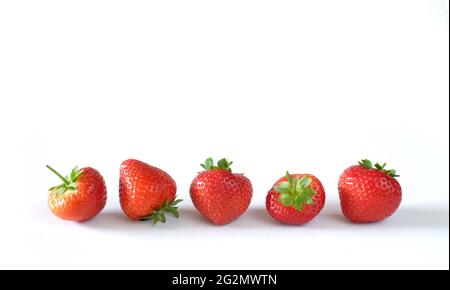 Frische Erdbeeren in einer Reihe auf weißem Hintergrund, guter Kopierplatz Stockfoto