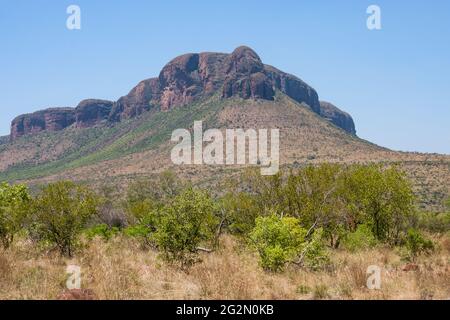 Im Sommer landschaftlich schöner Blick auf die Sandsteinfelsen im Marakele National Park, Limpopo Province, Südafrika Stockfoto