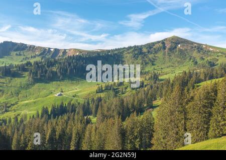 Landschaftsaufnahme der Schweizer Alpen bei 'La Berra', mit Wald und blauem Himmel im Hintergrund, aufgenommen in La Berra, Gruyère, Schweiz Stockfoto