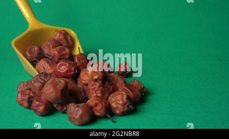 Frische orangene Zitrusfrüchte mit isolierten Blättern auf gelbem Hintergrund. Saftig und süß und bekannt für seine Konzentration an Vitamin C. Stockfoto