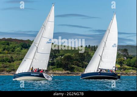 Schull, West Cork, Irland. Juni 2021. An einem Tag von blauem Himmel und strahlendem Sonnenschein hielt der Schull Harbour Sailing Club heute sein erstes Rennen der Saison ab. Rund 10 Yachten traten an dem Rennen an, das in und um Schull mit den Booten rund um Long Island ausgetragen wurde. Quelle: AG News/Alamy Live News Stockfoto