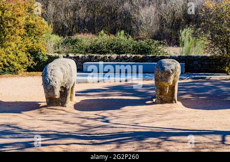 Die Bullen von Guisando, Toros de Guisando, sind eine Reihe von Skulpturen, die sich auf dem Hügel von Guisando in der Gemeinde El Tiemblo, Ávila, befinden. Die vier s Stockfoto