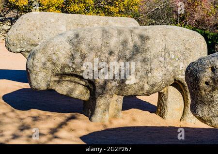 Die Bullen von Guisando, Toros de Guisando, sind eine Reihe von Skulpturen, die sich auf dem Hügel von Guisando in der Gemeinde El Tiemblo, Ávila, befinden. Die vier s Stockfoto