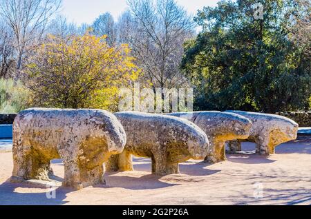 Die Bullen von Guisando, Toros de Guisando, sind eine Reihe von Skulpturen, die sich auf dem Hügel von Guisando in der Gemeinde El Tiemblo, Ávila, befinden. Die vier s Stockfoto